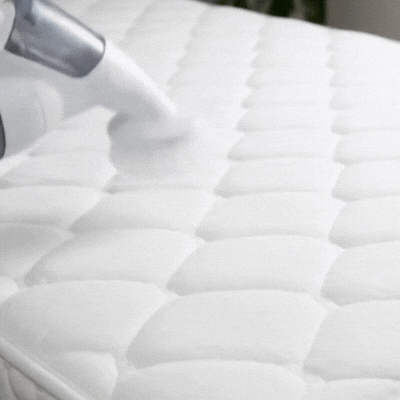 Lavado y Desinfección de Colchones